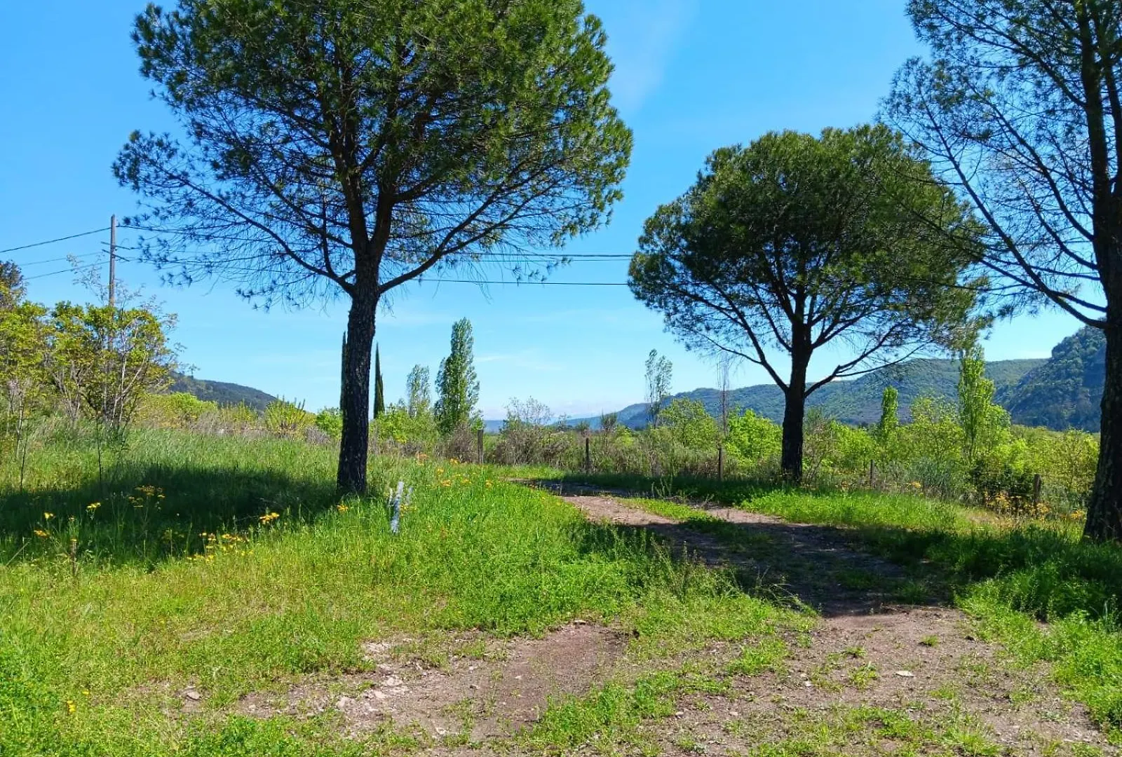 Gite De Branchou Coux Holiday home